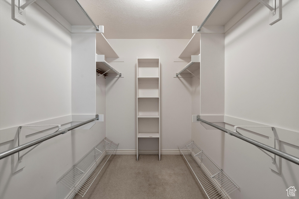 Walk in closet featuring carpet flooring