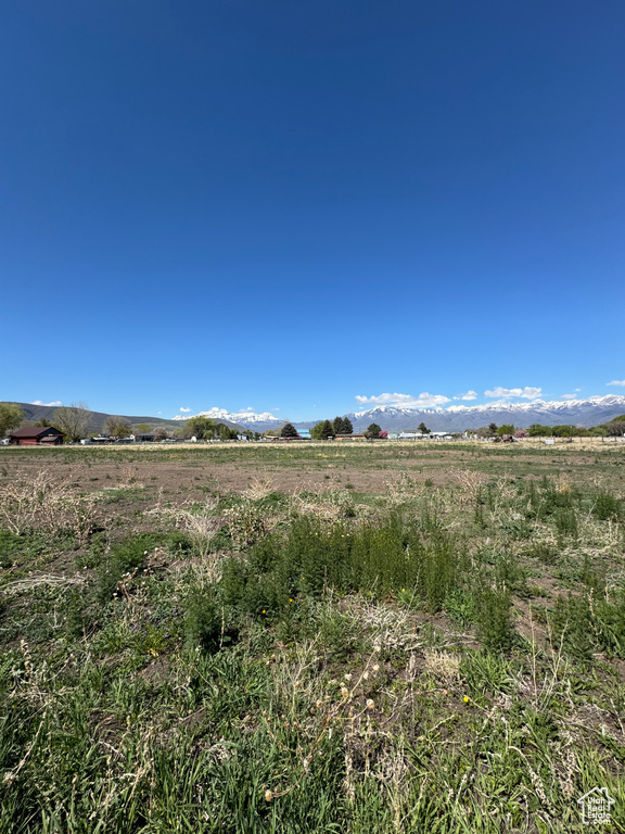 View of local wilderness featuring rural landscape