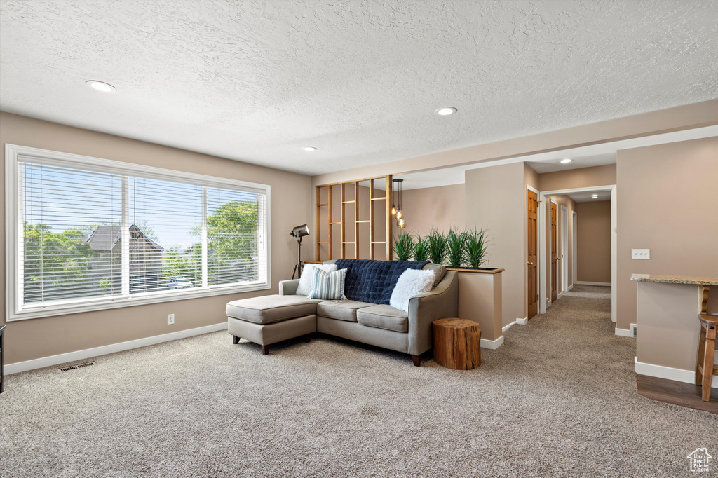 Carpeted living area with a textured ceiling, baseboards, and recessed lighting