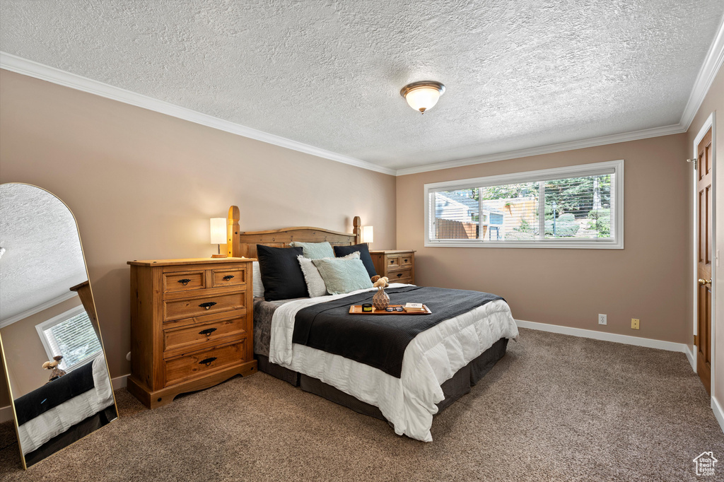 Bedroom with a textured ceiling, multiple windows, crown molding, carpet, and baseboards