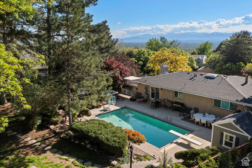 Swimming pool featuring a patio and a diving board