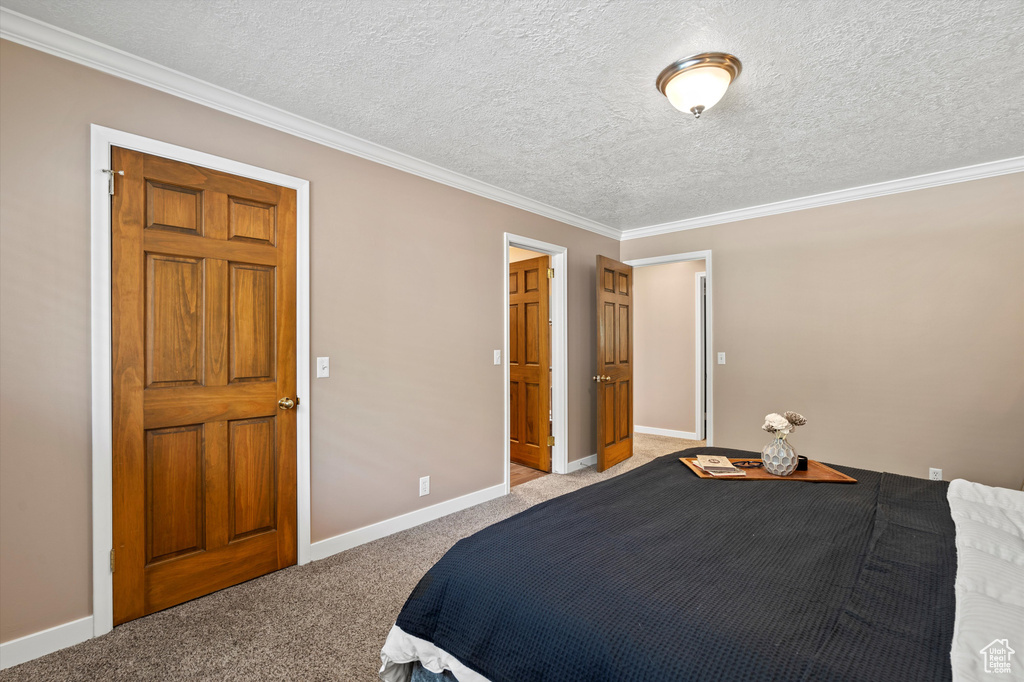 Bedroom featuring ornamental molding, light colored carpet, a textured ceiling, and baseboards