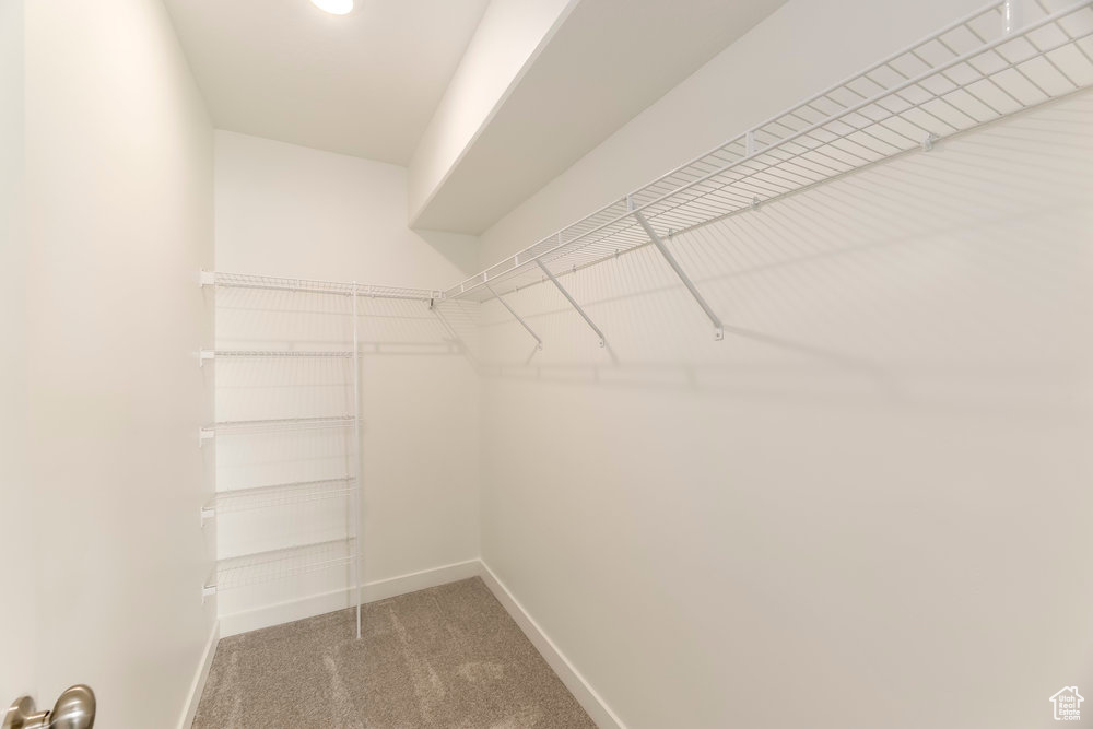 Walk in closet featuring carpet flooring