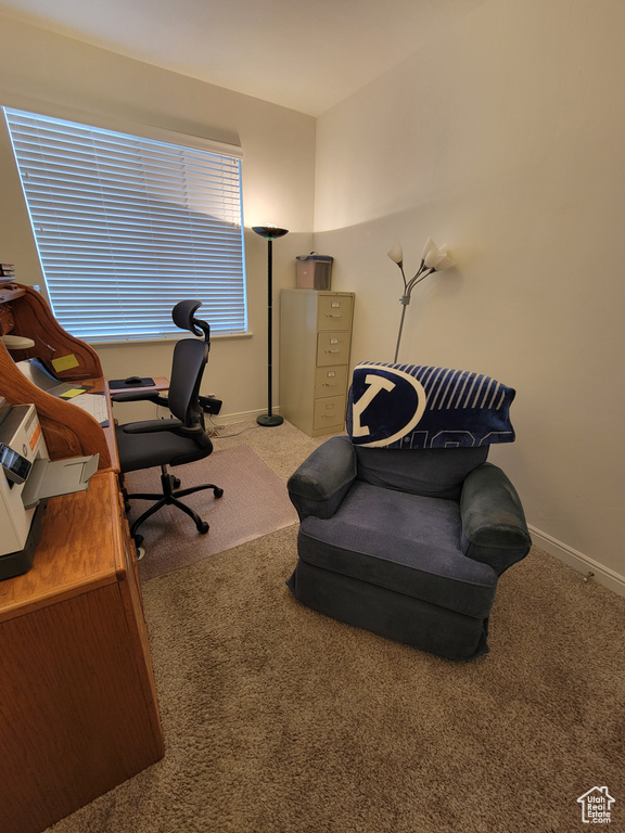 Office area featuring carpet flooring and baseboards