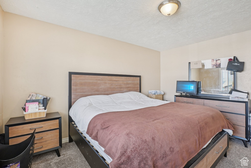 Bedroom with carpet flooring and a textured ceiling