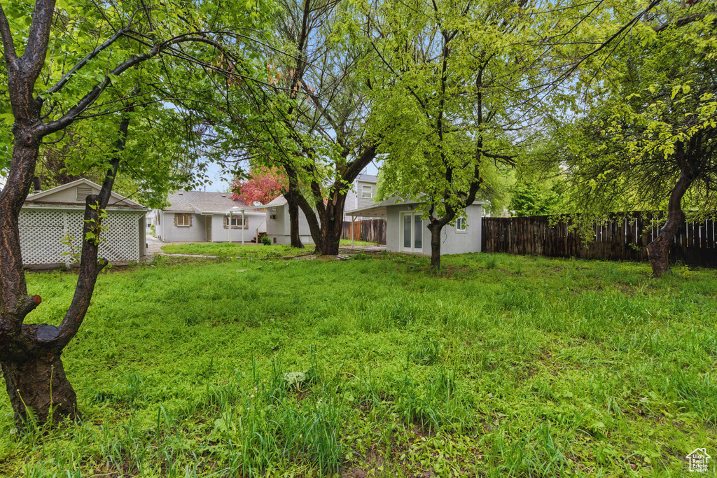 View of yard