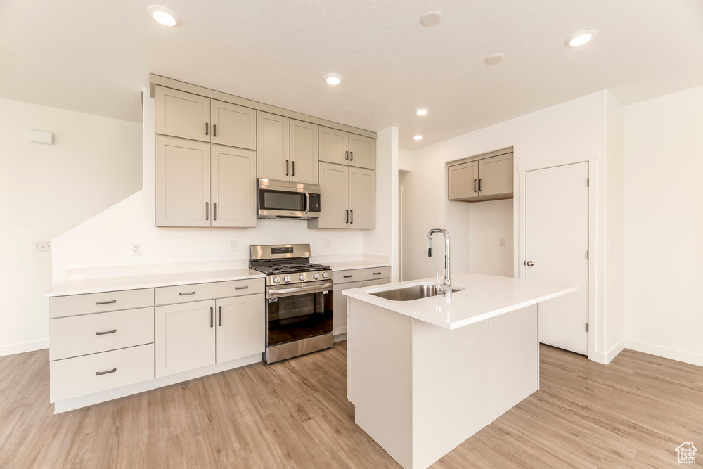 Kitchen with stainless steel appliances, a sink, gray cabinetry, light wood finished floors, and light countertops