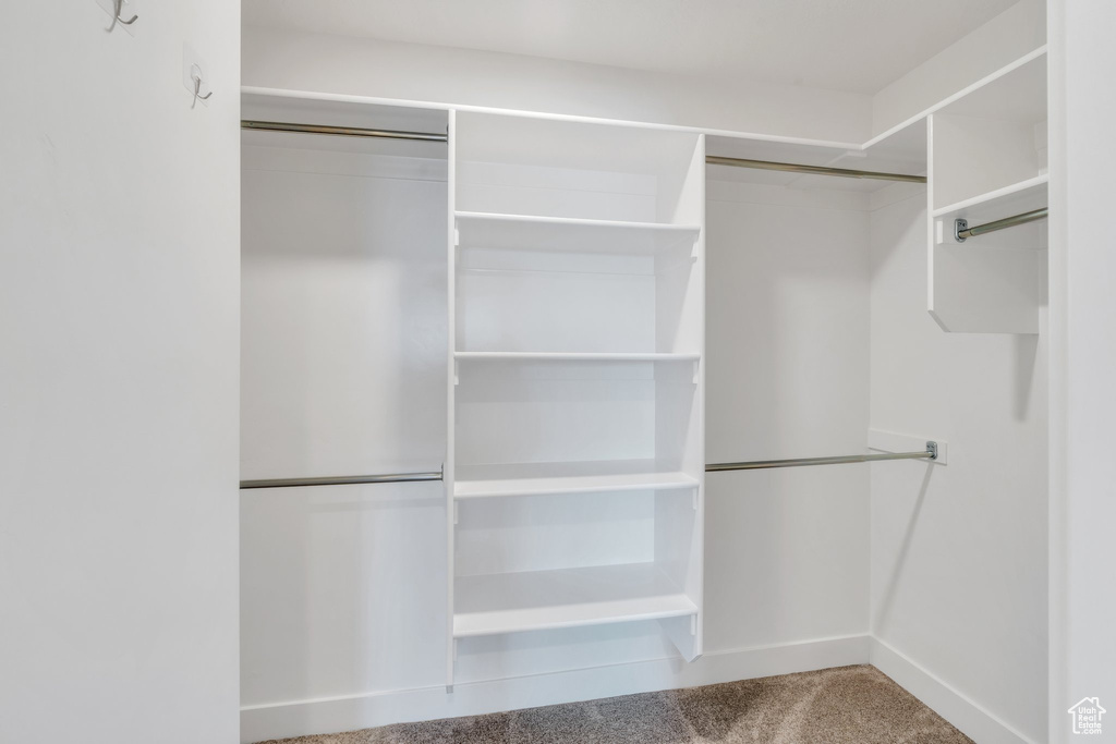 Walk in closet with carpet floors
