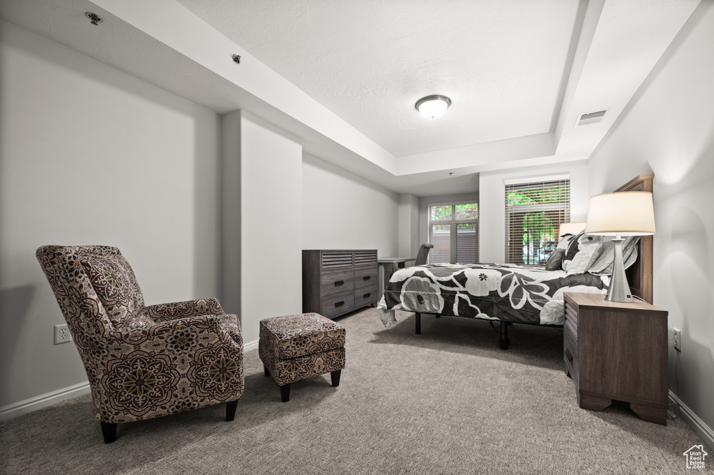 Carpeted bedroom with visible vents, baseboards, and a raised ceiling