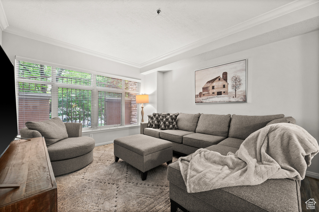 Living area with baseboards, ornamental molding, and wood finished floors