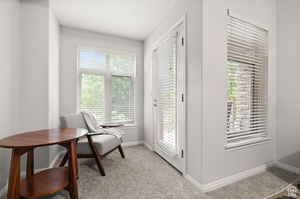 Living area with light colored carpet and baseboards
