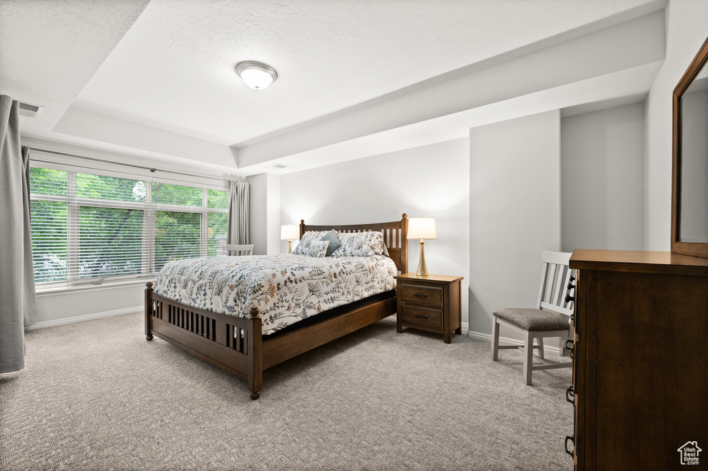 Carpeted bedroom featuring a raised ceiling, baseboards, and visible vents