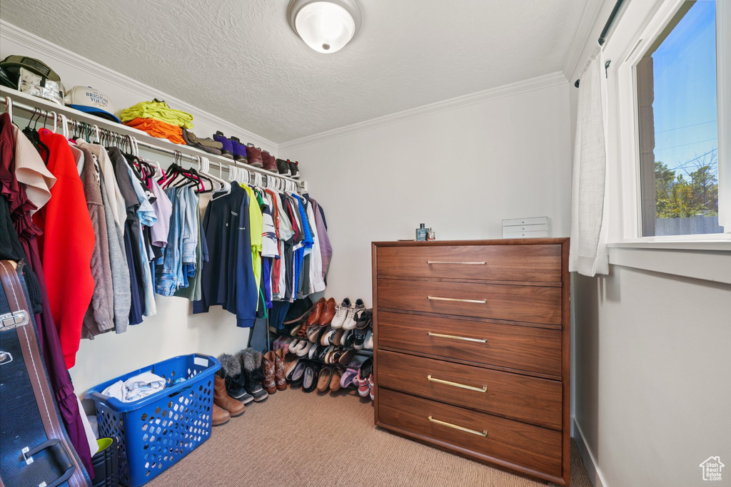 Walk in closet featuring carpet