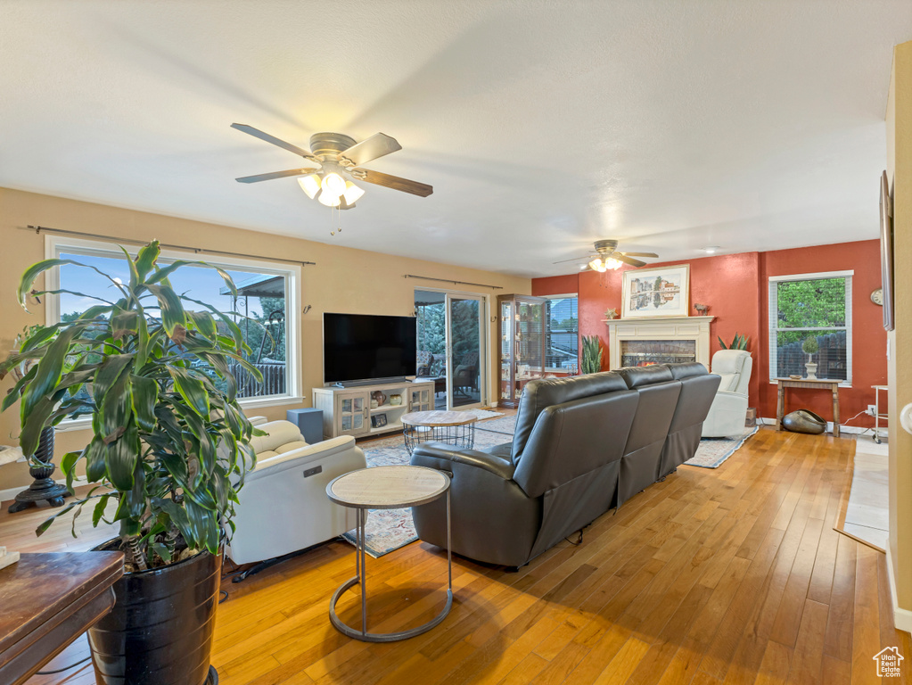 Living room with ceiling fan, light wood finished floors, and a glass covered fireplace