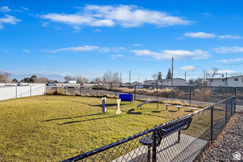 View of yard with a dog friendly area