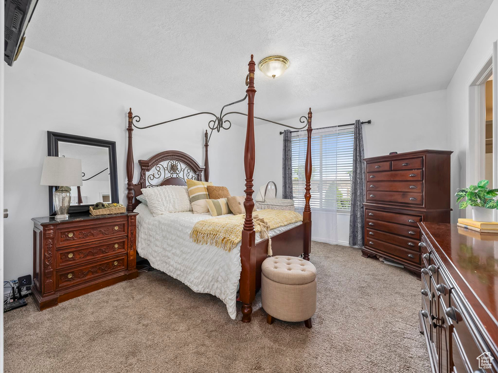Bedroom featuring carpet and a textured ceiling