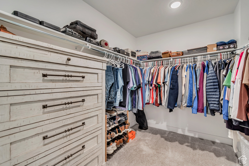 Spacious closet featuring carpet floors