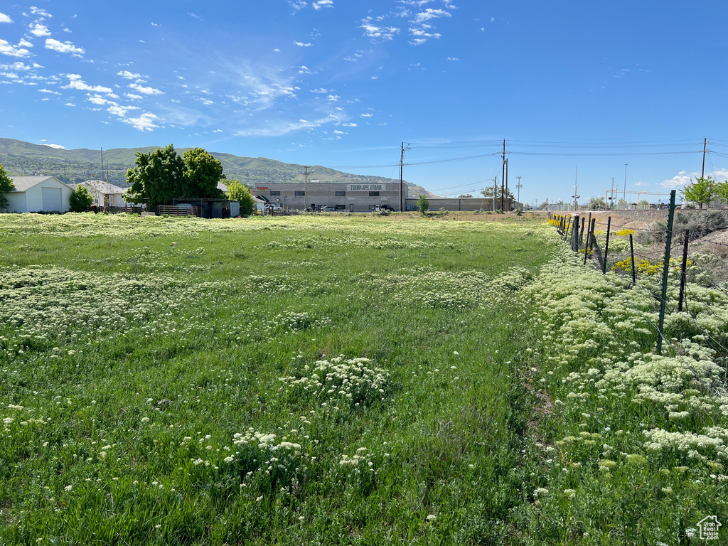 View of yard featuring a mountain view and a view of rural / pastoral area