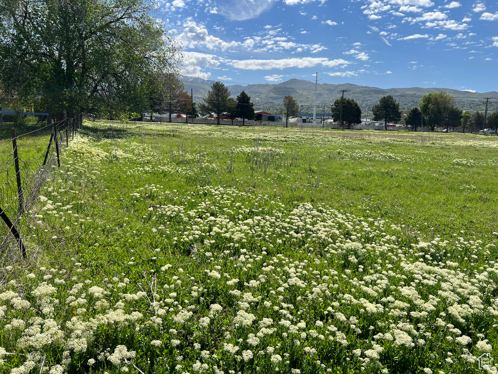 View of yard featuring a mountain view, fence, and a view of rural / pastoral area