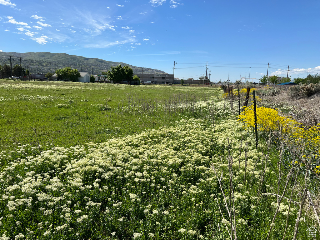 View of yard featuring a mountain view and a rural view