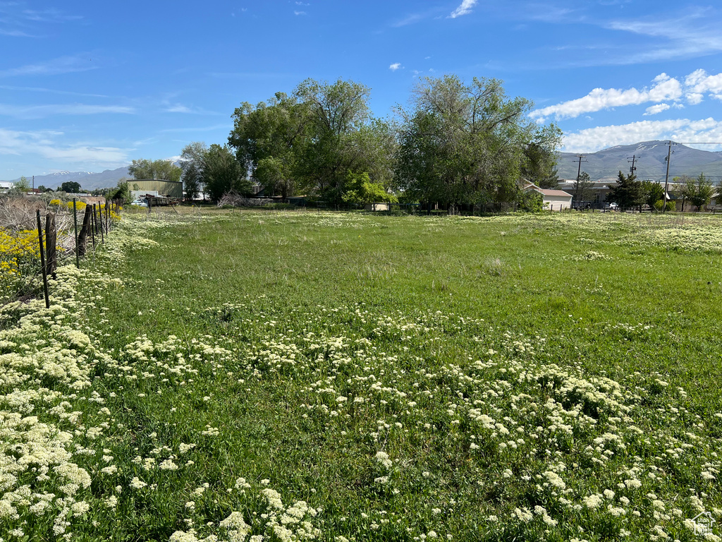 View of yard with a mountain view, a rural view, and fence