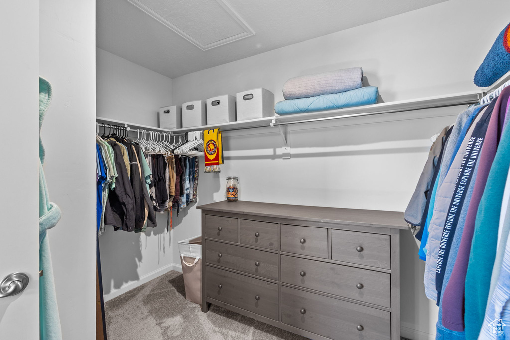 Spacious closet with carpet flooring and attic access