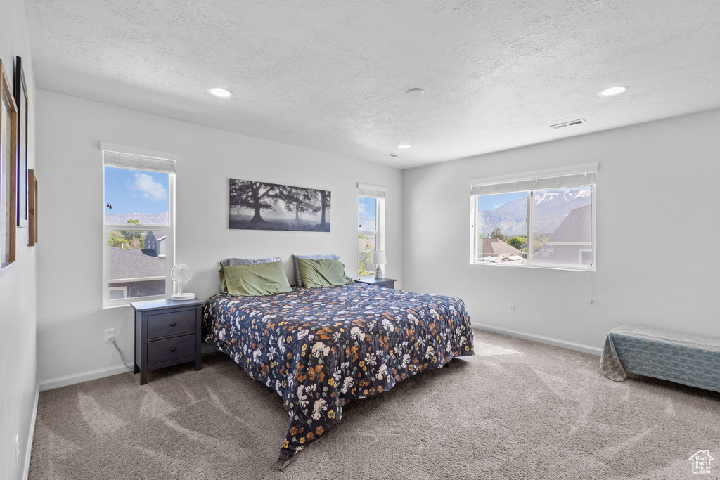 Carpeted bedroom featuring a textured ceiling, recessed lighting, and baseboards