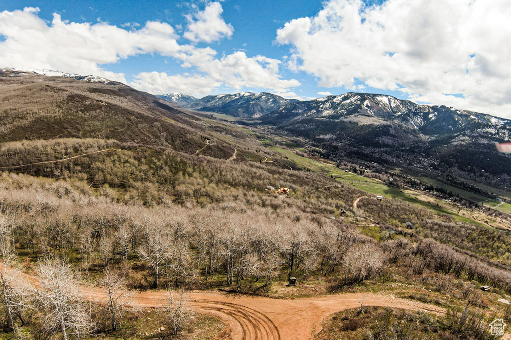 Mountain view