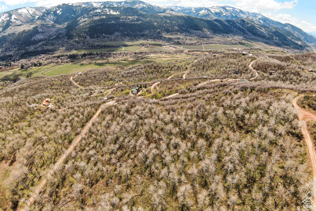 View of mountain background