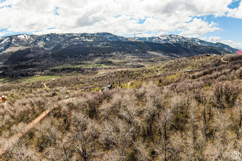 Mountain view