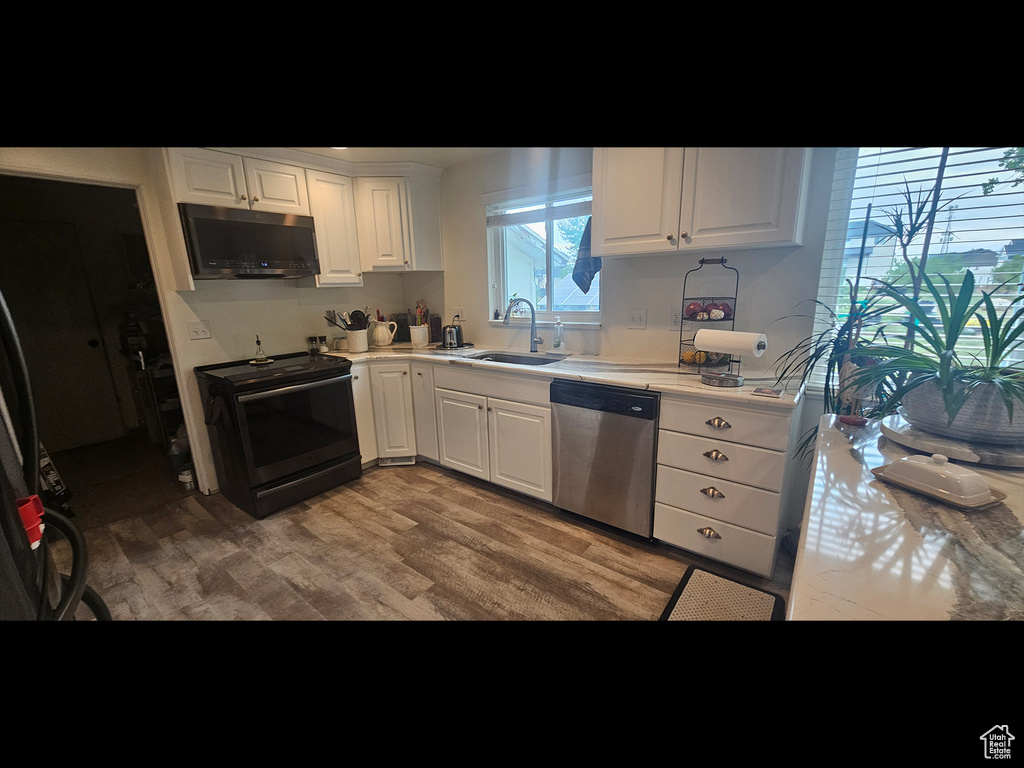 Kitchen featuring stainless steel dishwasher, black range with electric stovetop, a sink, light countertops, and light wood-style flooring