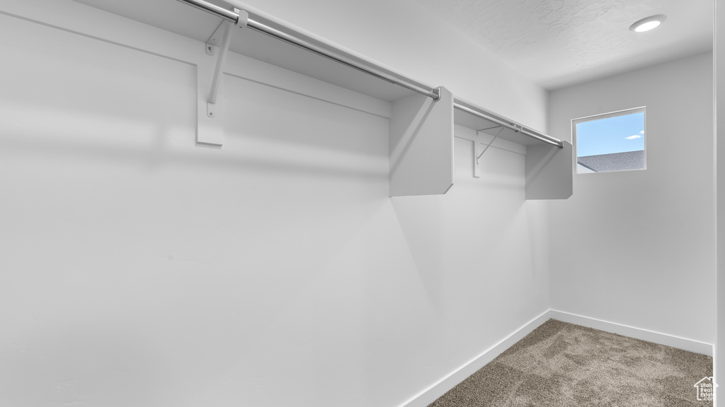 Spacious closet featuring carpet flooring