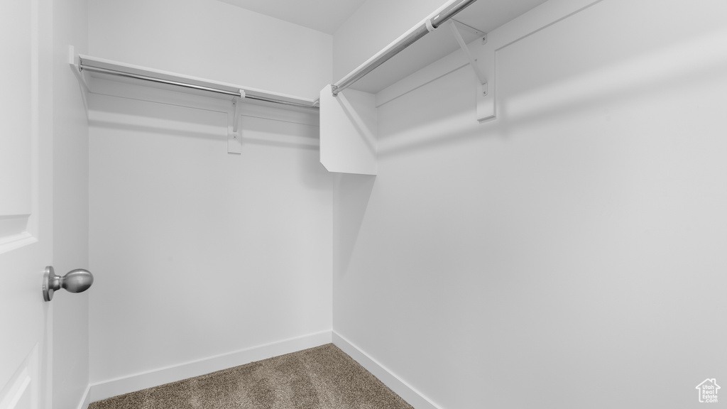 Walk in closet featuring carpet floors