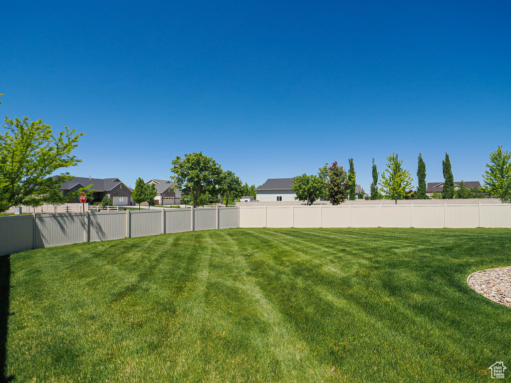 View of yard featuring a residential view