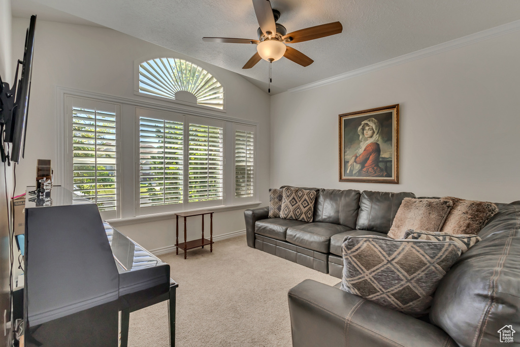 Carpeted living room with ceiling fan, baseboards, and crown molding
