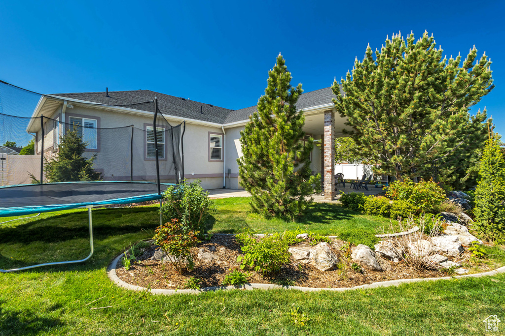 Rear view of house with a trampoline, a yard, and stucco siding