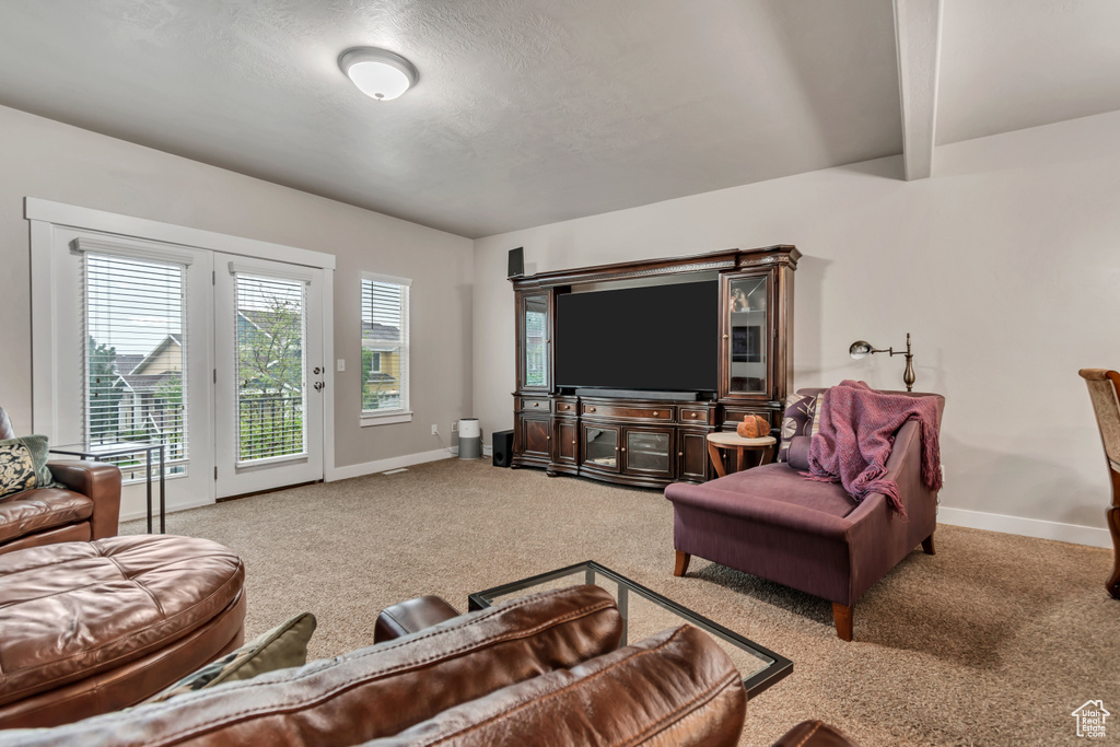 Living room with baseboards and carpet flooring