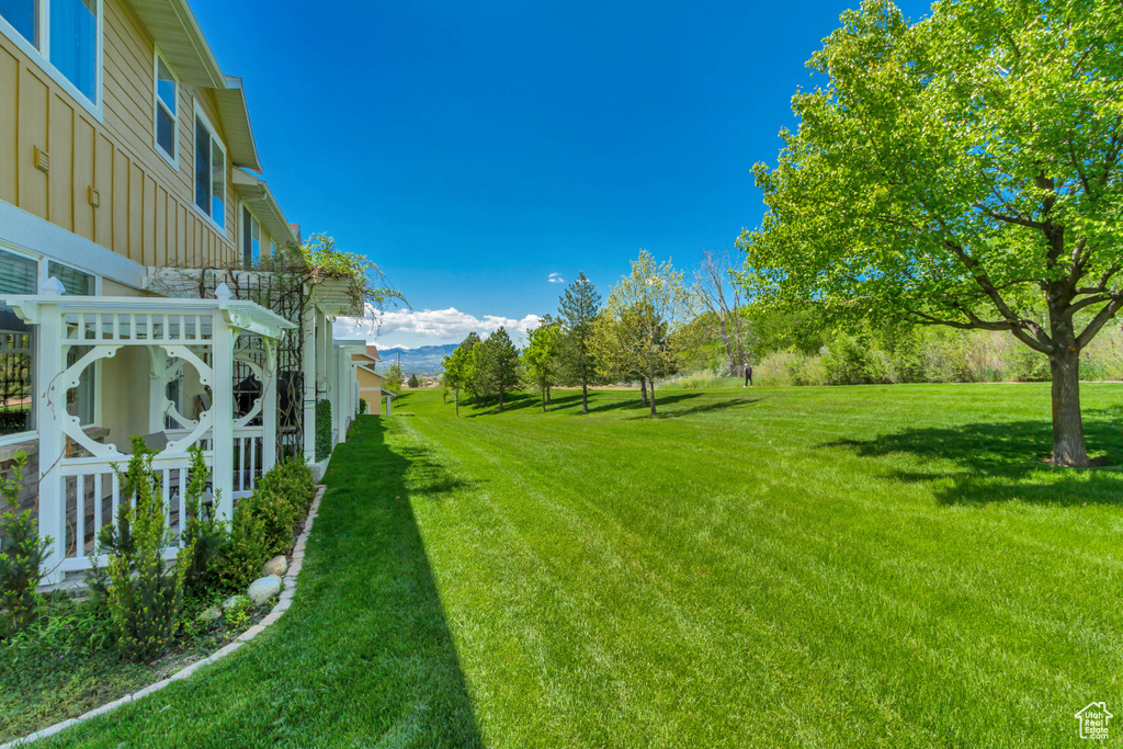 View of grassy yard