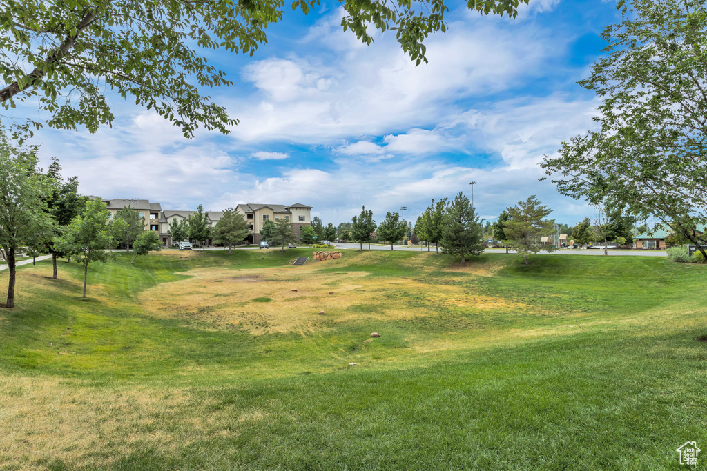 View of grassy yard