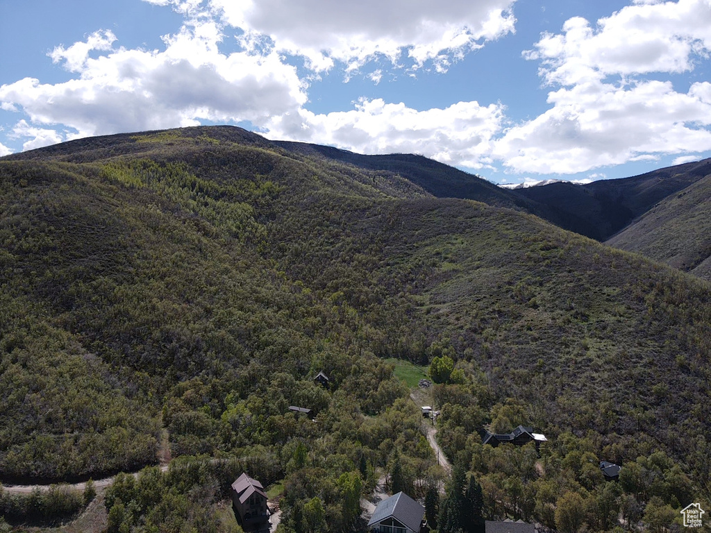 Mountain view featuring a heavily wooded area
