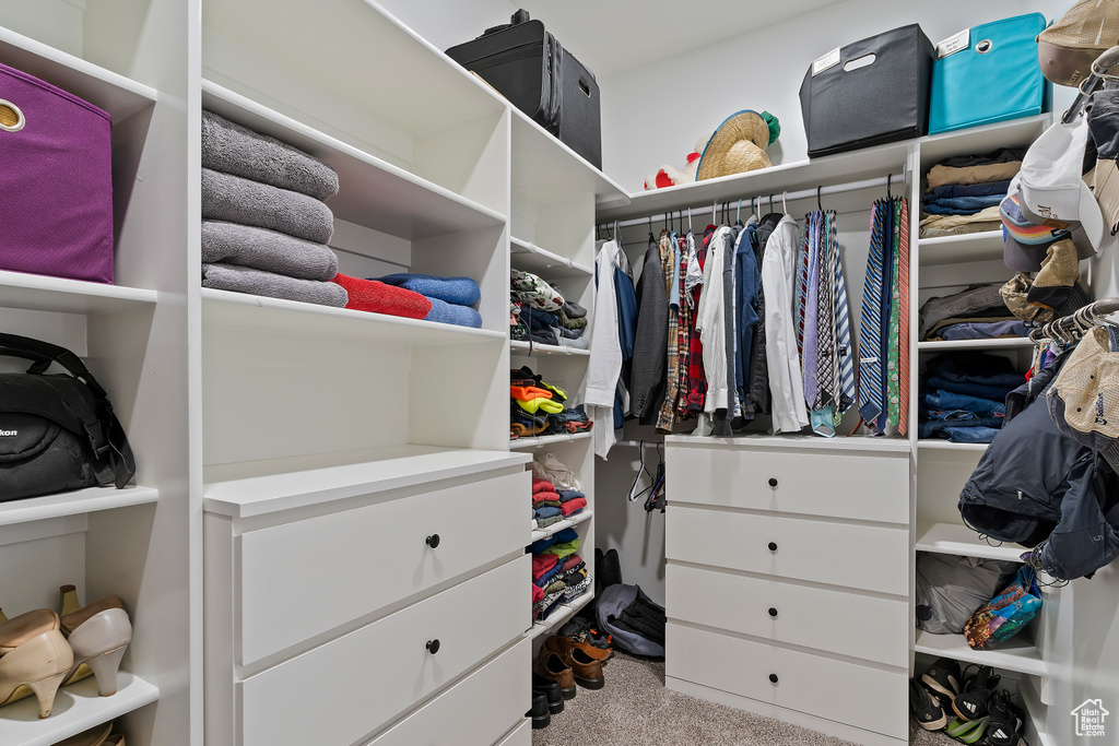 Spacious closet with carpet flooring