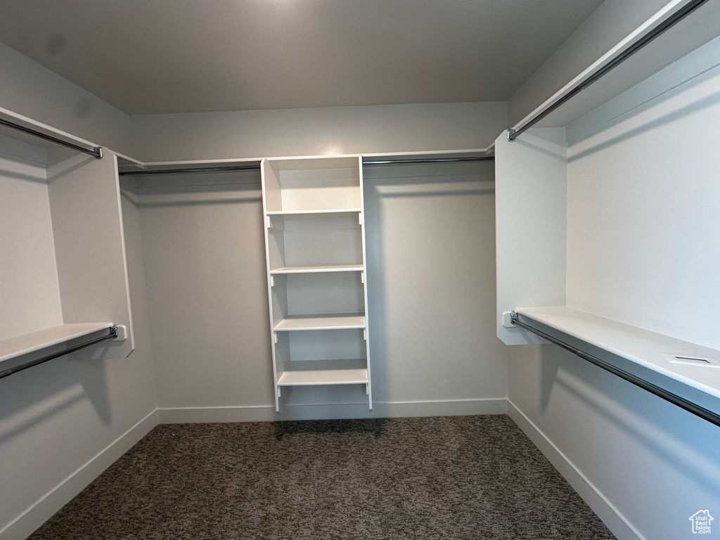 Spacious closet featuring dark colored carpet