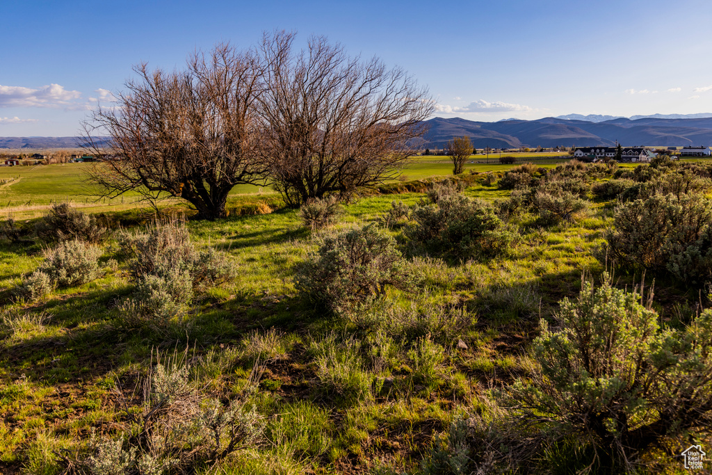 View of mountain background with rural landscape