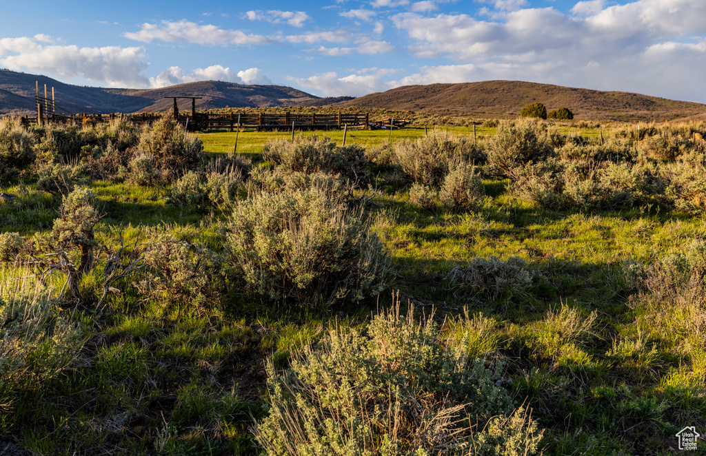 Mountain view with rural landscape