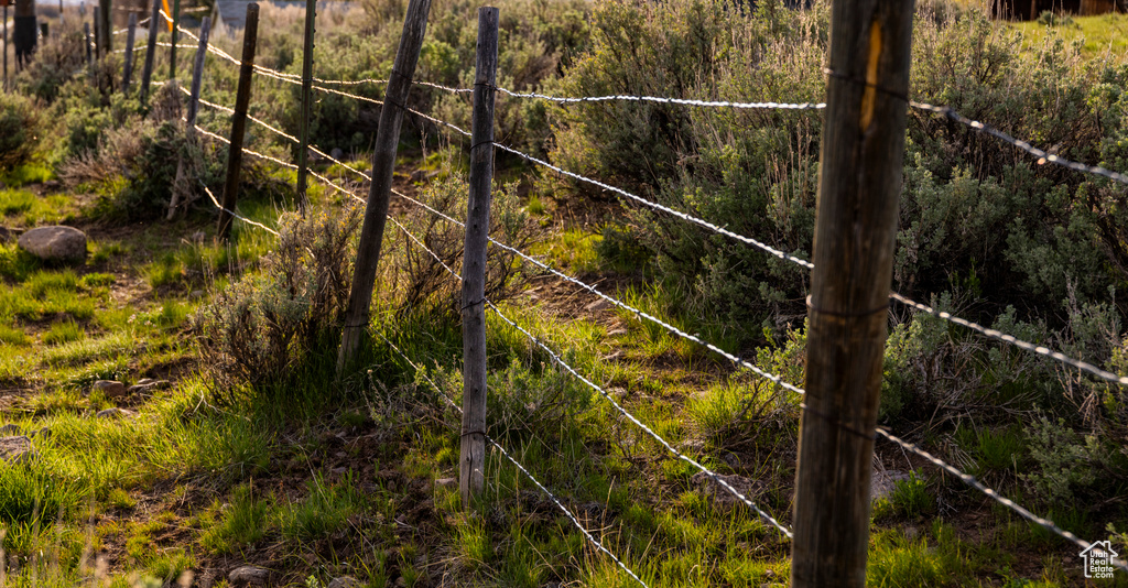 View of undeveloped land