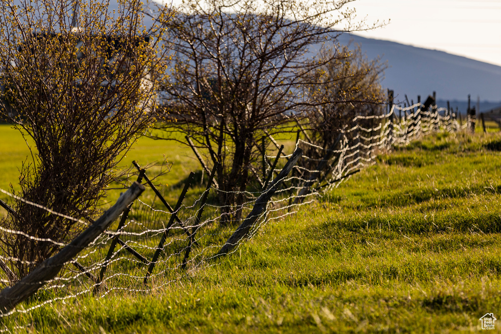 View of undeveloped land