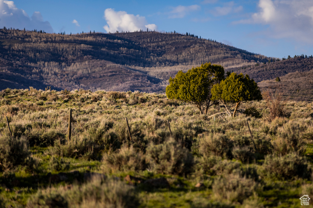View of mountain backdrop