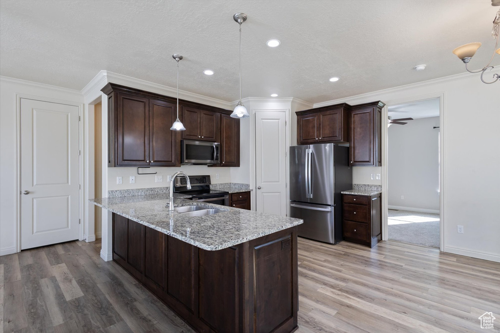 Kitchen featuring appliances with stainless steel finishes, dark brown cabinets, light wood finished floors, crown molding, and a sink