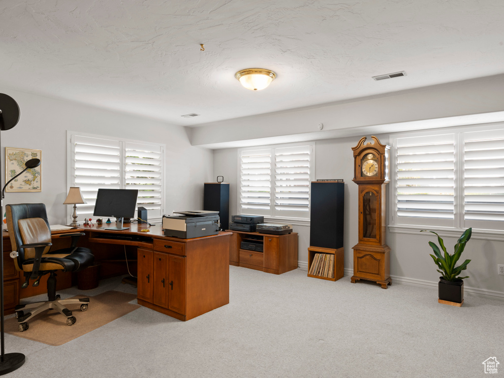 Home office with light carpet, healthy amount of natural light, and baseboards