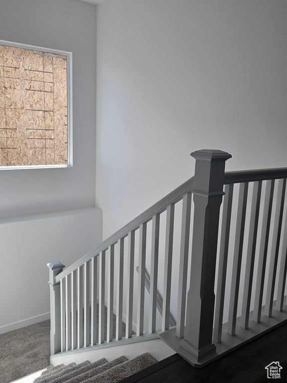 Stairway with carpet floors
